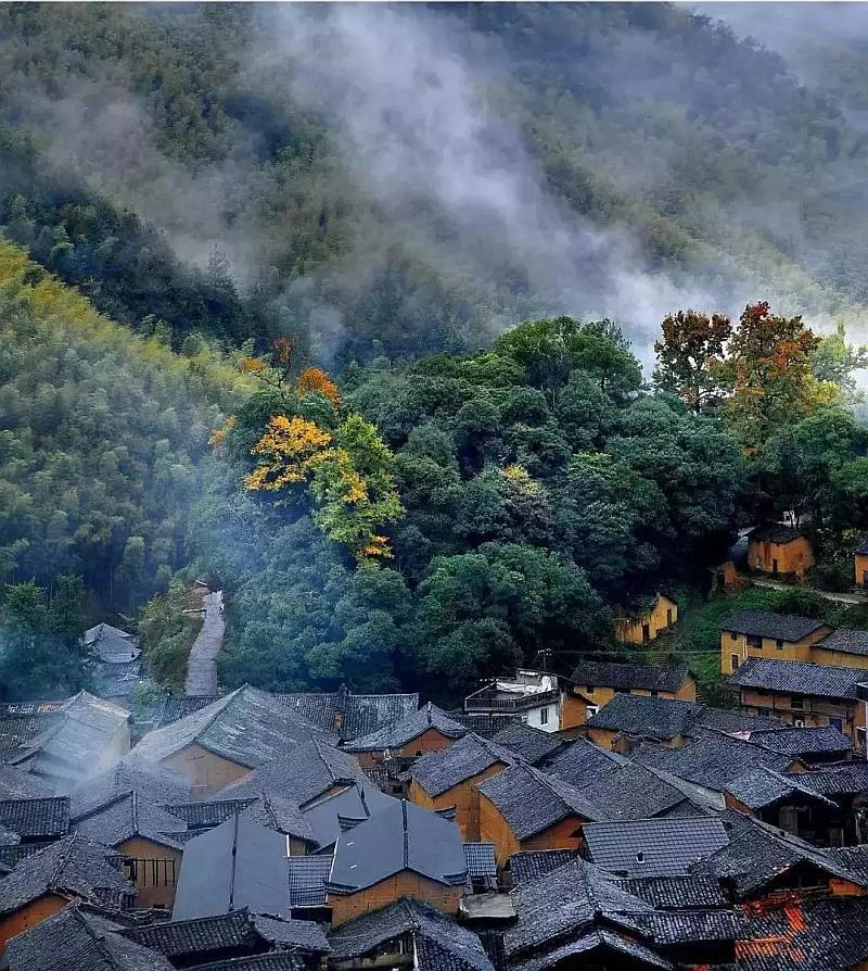 领养的孩子已半岁,突然发现自己怀孕了,该怎么办?红迪网-专注于领养的孩子已半岁,突然发现自己怀孕了,该怎么办?的讨论和交流平台
